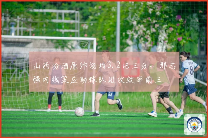 山西汾酒原帅场均3.2记三分，邢志强内线策应助球队进攻效率前三